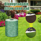 EZ Grow Grass Seed